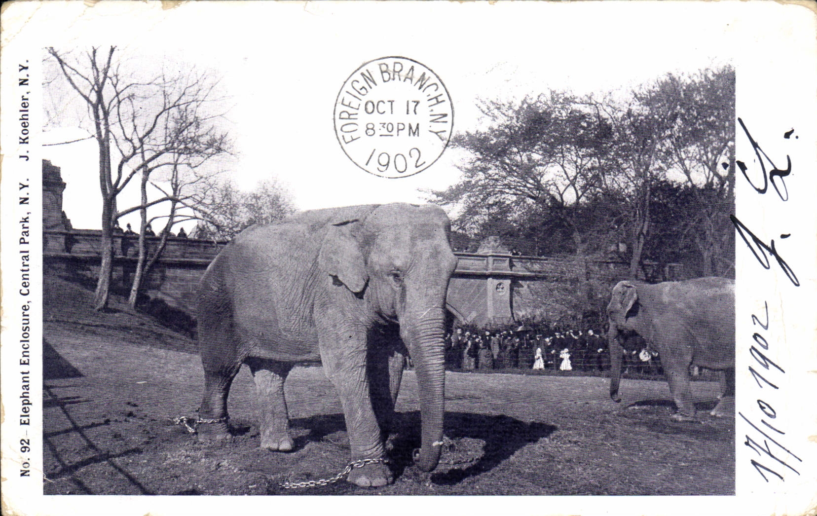 CPA Elephant enclosure Central Park New York 