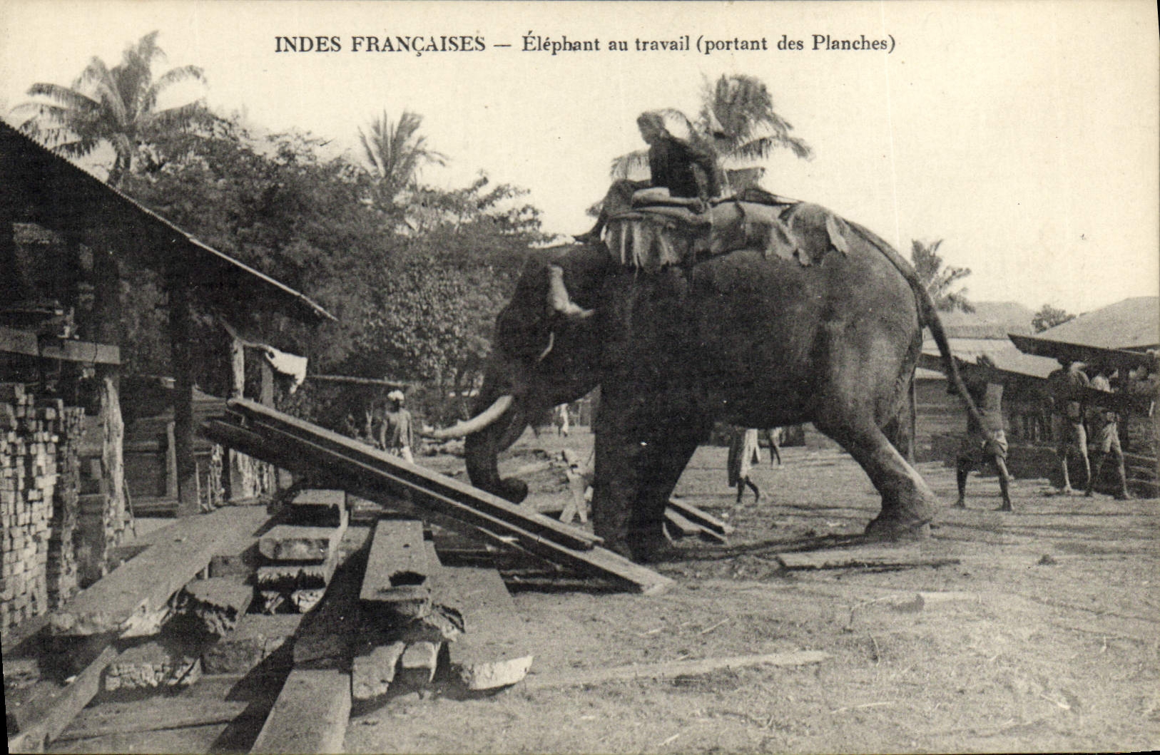 CPA Elephant au travail portant des planches Indes francaises 