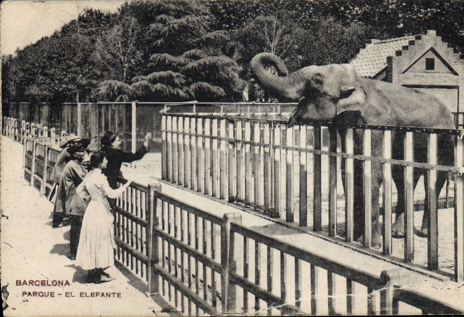 CPA Elephant Barcelona Parque El Elefante 