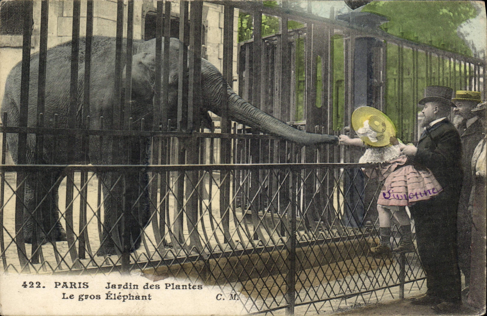 CPA Elephant Paris Jardin des plantes