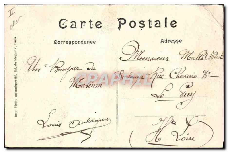 CPA Paris Jardin des plantes Lion d'Afrique — Rückseite