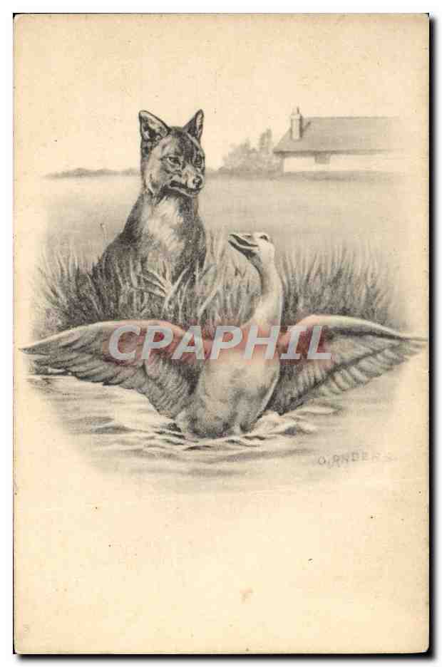CPA Illustrateur Renard oie 