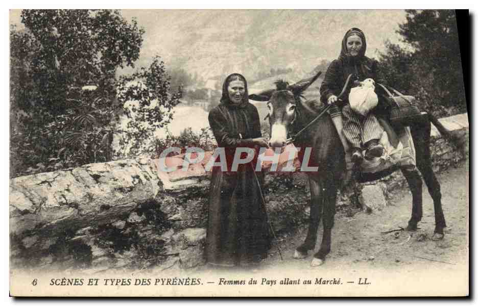 CPA Folklore Pyrenees Femmes allant au marche Ane Mule 