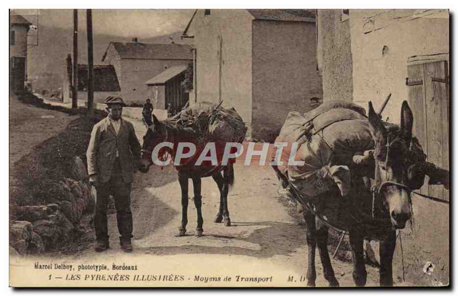 CPA Folklore Pyrenees Moyens de transport Ane Mule 