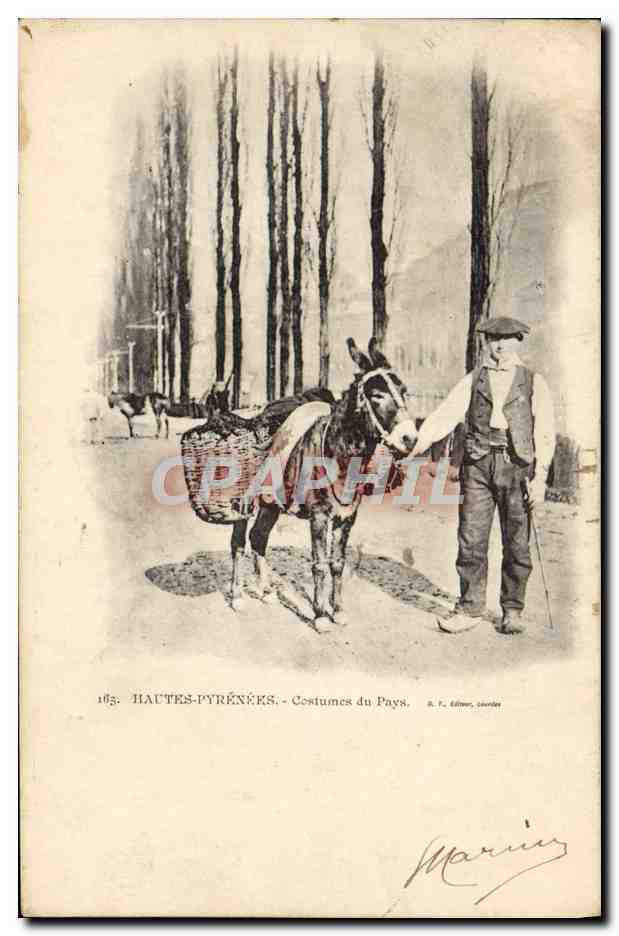 CPA Folklore Hautes Pyrenees Costumes du pays Ane Mule 