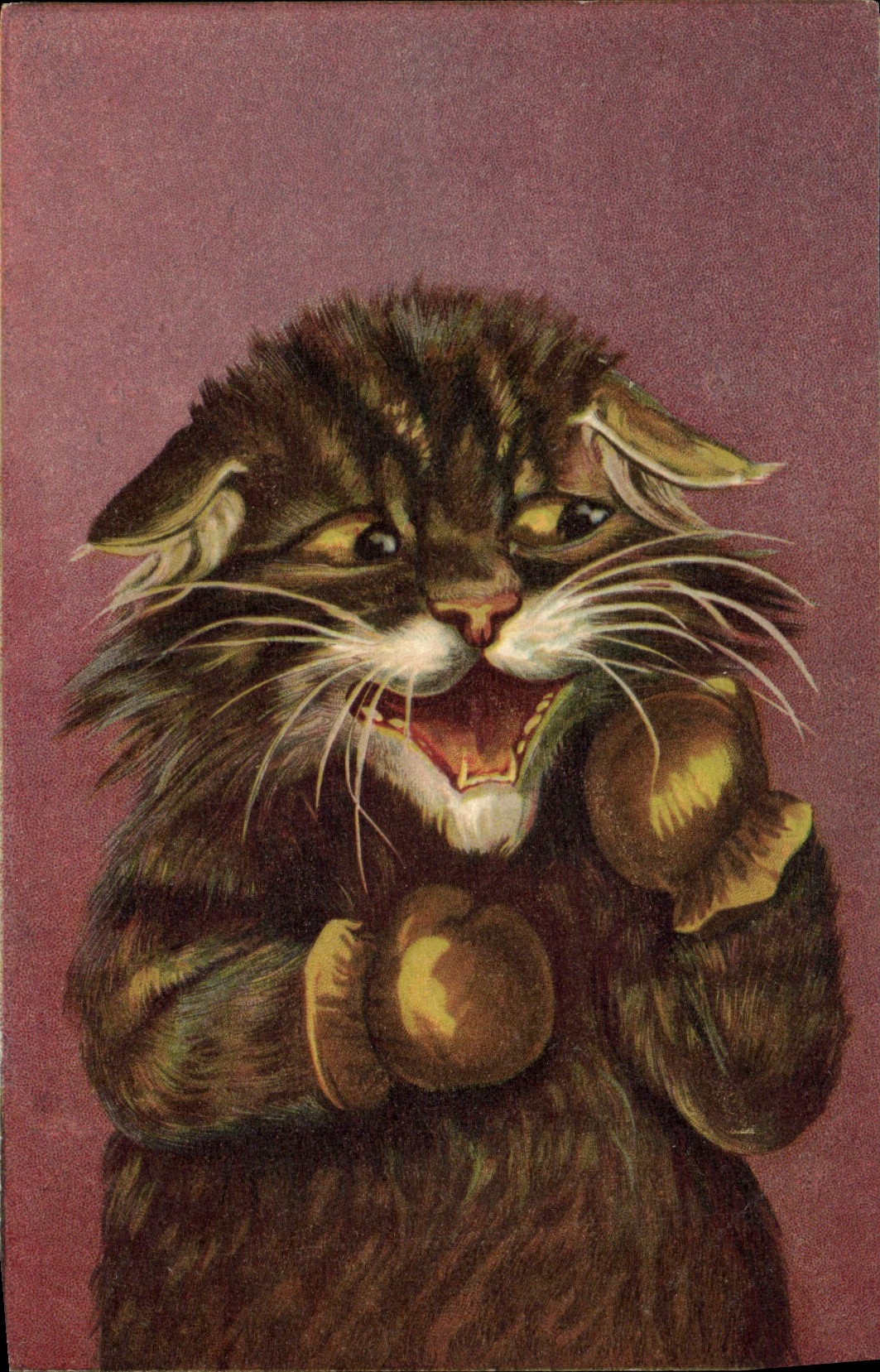Chat en boxe — K. F. Editeurs, Paris, Série 586