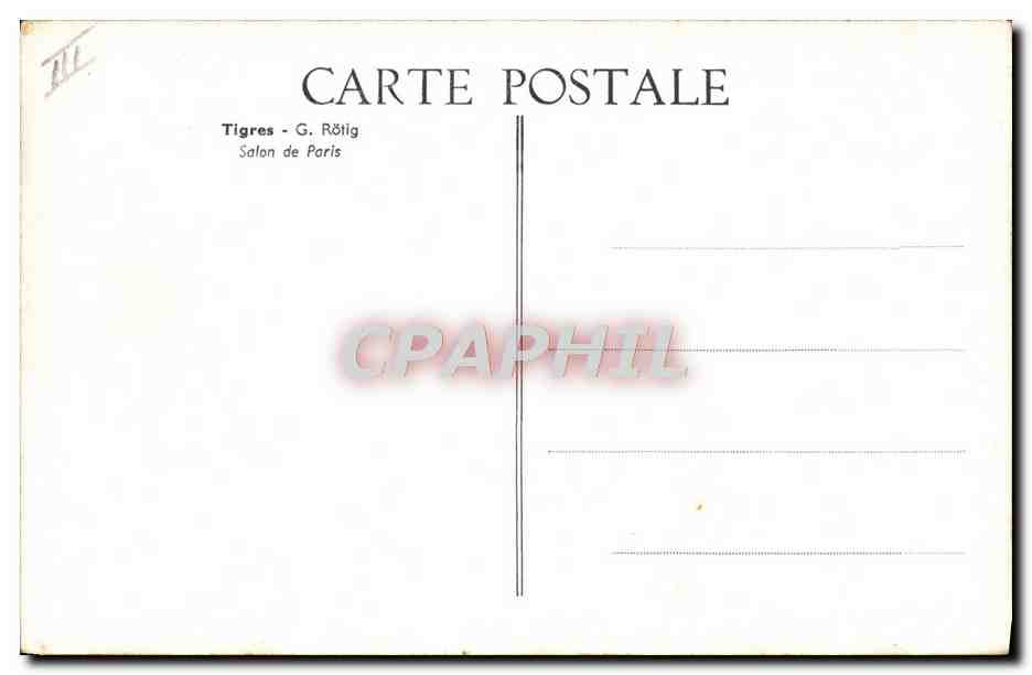CPA Tigres Tigre G Rotig Salon de Paris  — Rückseite