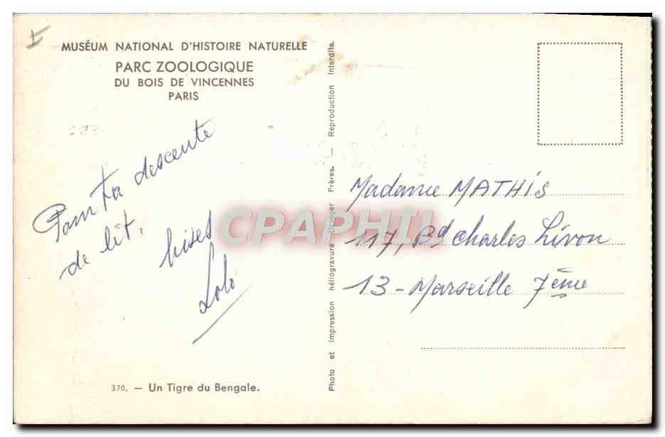 CPA Un tigre du Bengale Parc zoologique du Bois de Vincennes Paris  — Rückseite