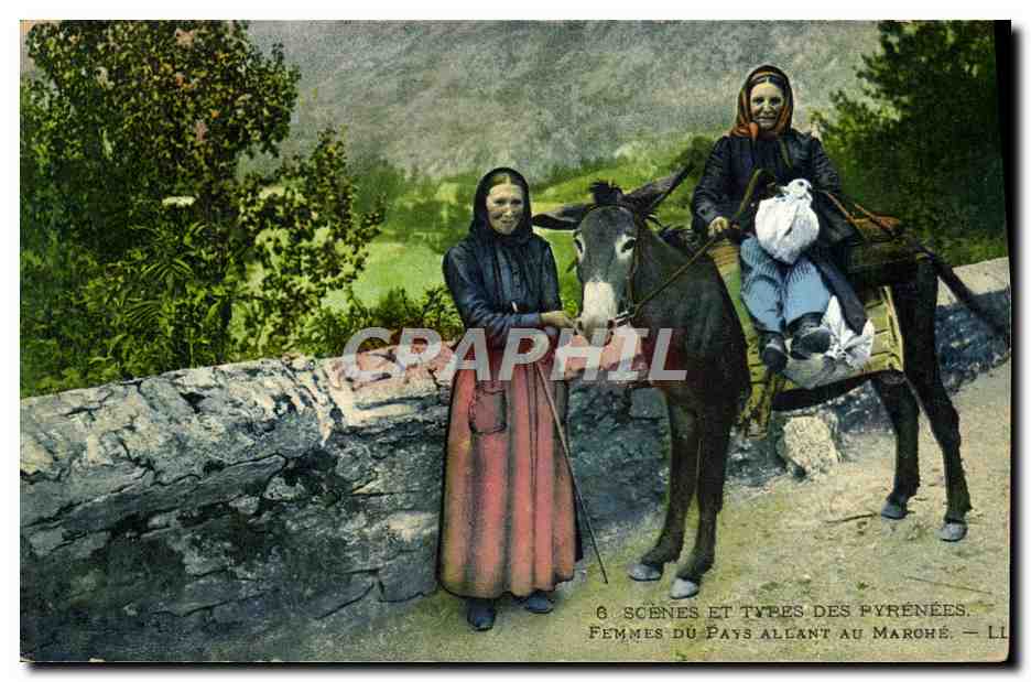 CPA Pyrenees Ane Femmes du pays allant au marche Folklore