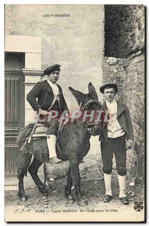 CPA Pyrenees Ane En route pour la ville Folklore