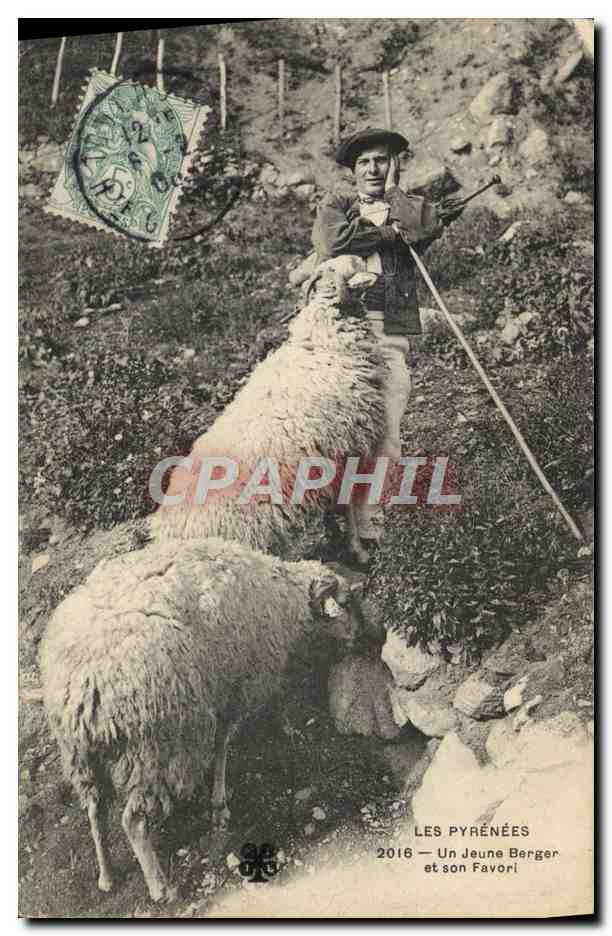 CPA Pyrenees Un jeune Berger et son favori Agneau 