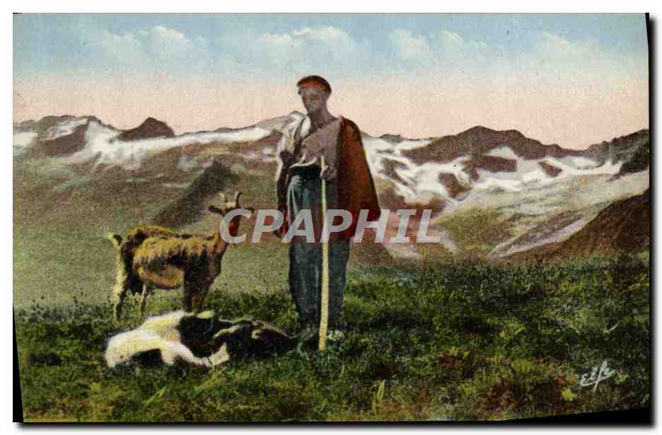 CPA Pyrenees Un patre sur les hauteurs dominant la chaine centrale des Pyrenees Chevre Goat 