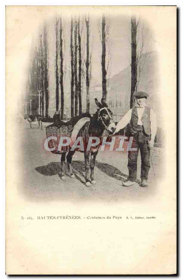 CPA Pyrenees Costumes du payx Ane Mule 