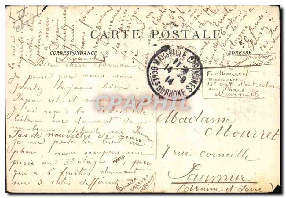 CPA Felin Lion Marseille Jarin zoologique — Rückseite