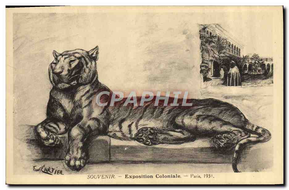 CPA Felin Lion Exposition coloniale Paris 1931