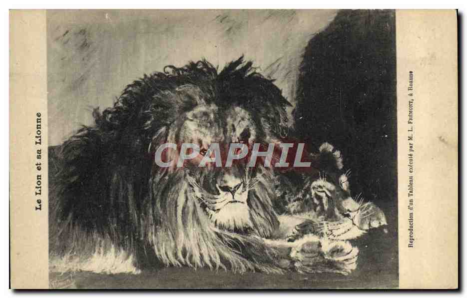 CPA Felin Lion et sa lionne 