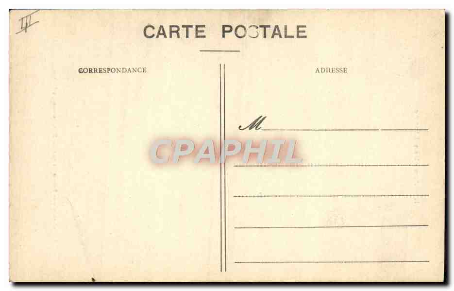 CPA Felin Lion et sa lionne  — Rückseite