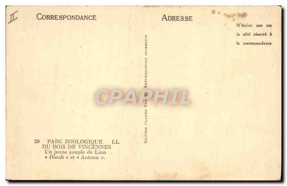 CPA Felin Lion Parx zoologique du bois de Vincennes Un jeune couple de lion Dinah et Antoun — Rückseite