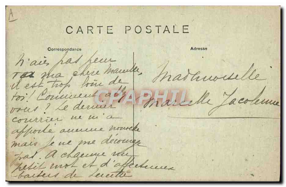 CPA Felin Tonkin Tigre surpris a l'affut Indochine  — Rückseite