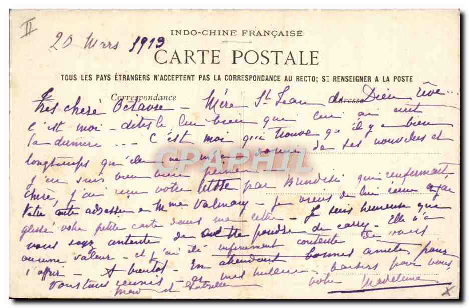 CPA Felin Indochine Tonkin Tigres du massif montagneux de la riviere noire  — Rückseite