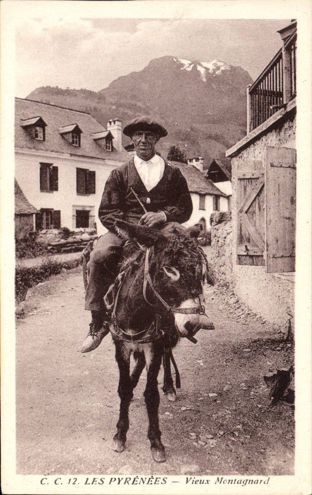 CPA Folklore Pyrenees Vieux montagnard Ane Mule 
