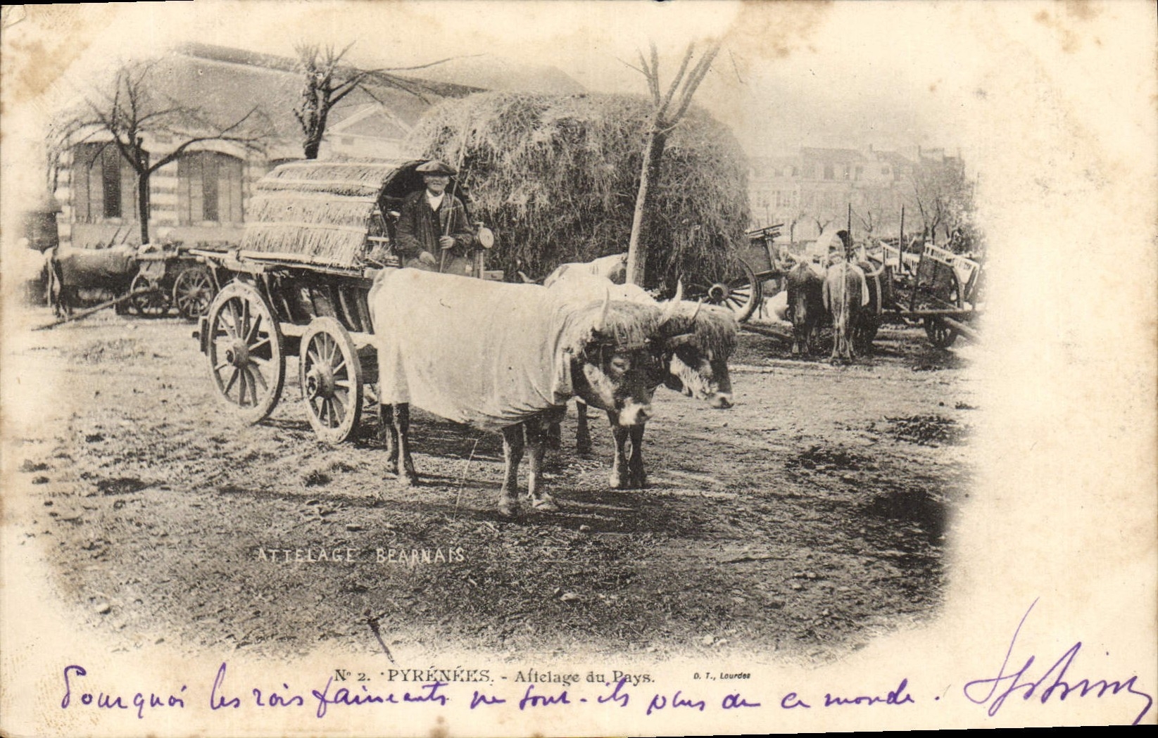 CPA Folklore Pyrenees Attelage bearnais Boeufs