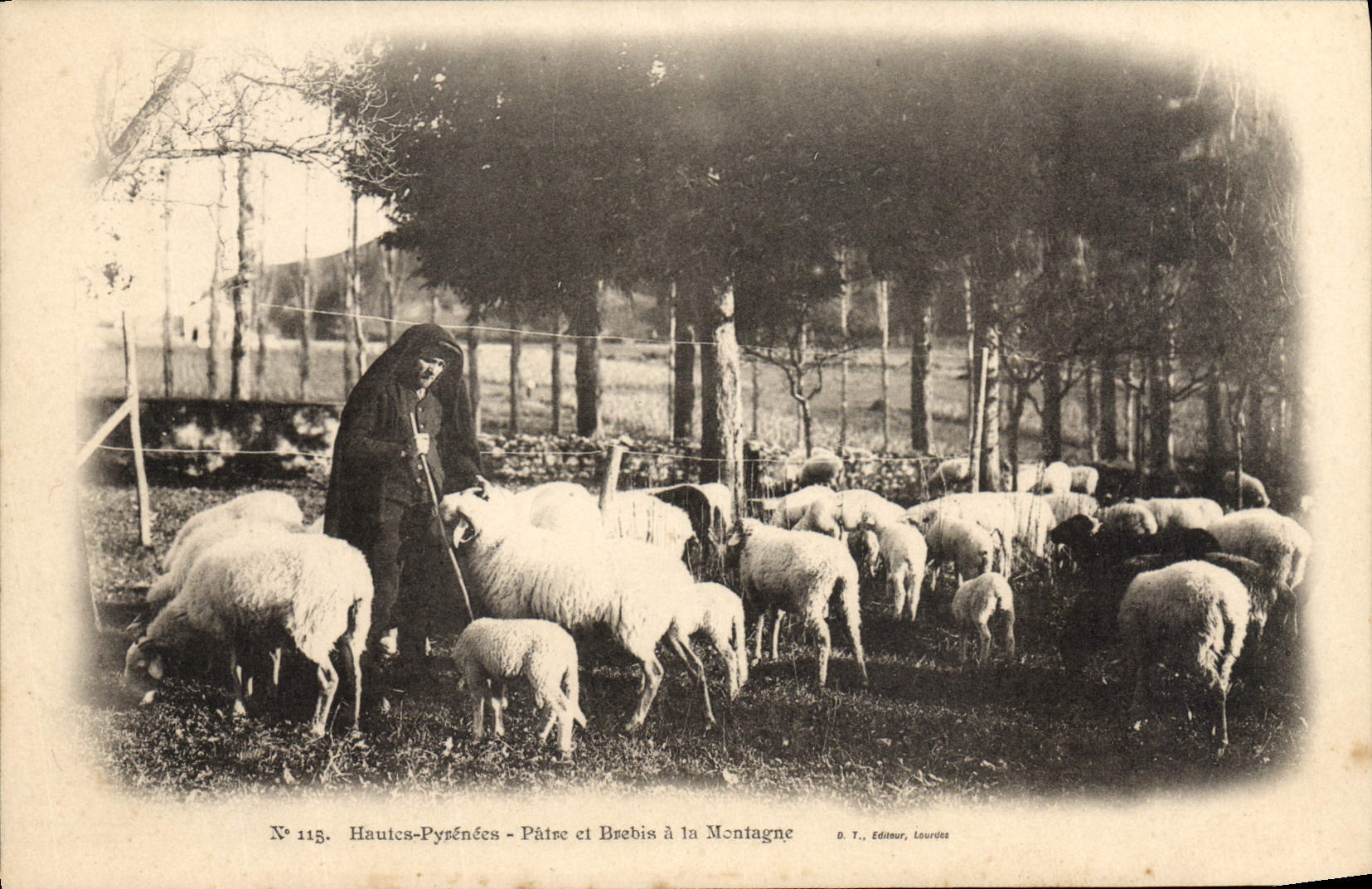 CPA Folklore Hautes Pyrenees Patre et brebis a la montagne 