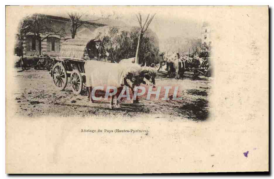 CPA Folklore Attelage du pays Hautes Pyrenees Boeufs