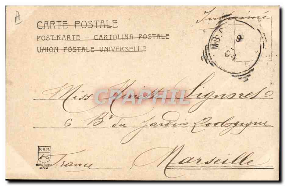 S.A.R. Vittorio Emanuele Conte di Torino — portrait en uniforme — éditeur N.R.M. n°3276 — Reverso