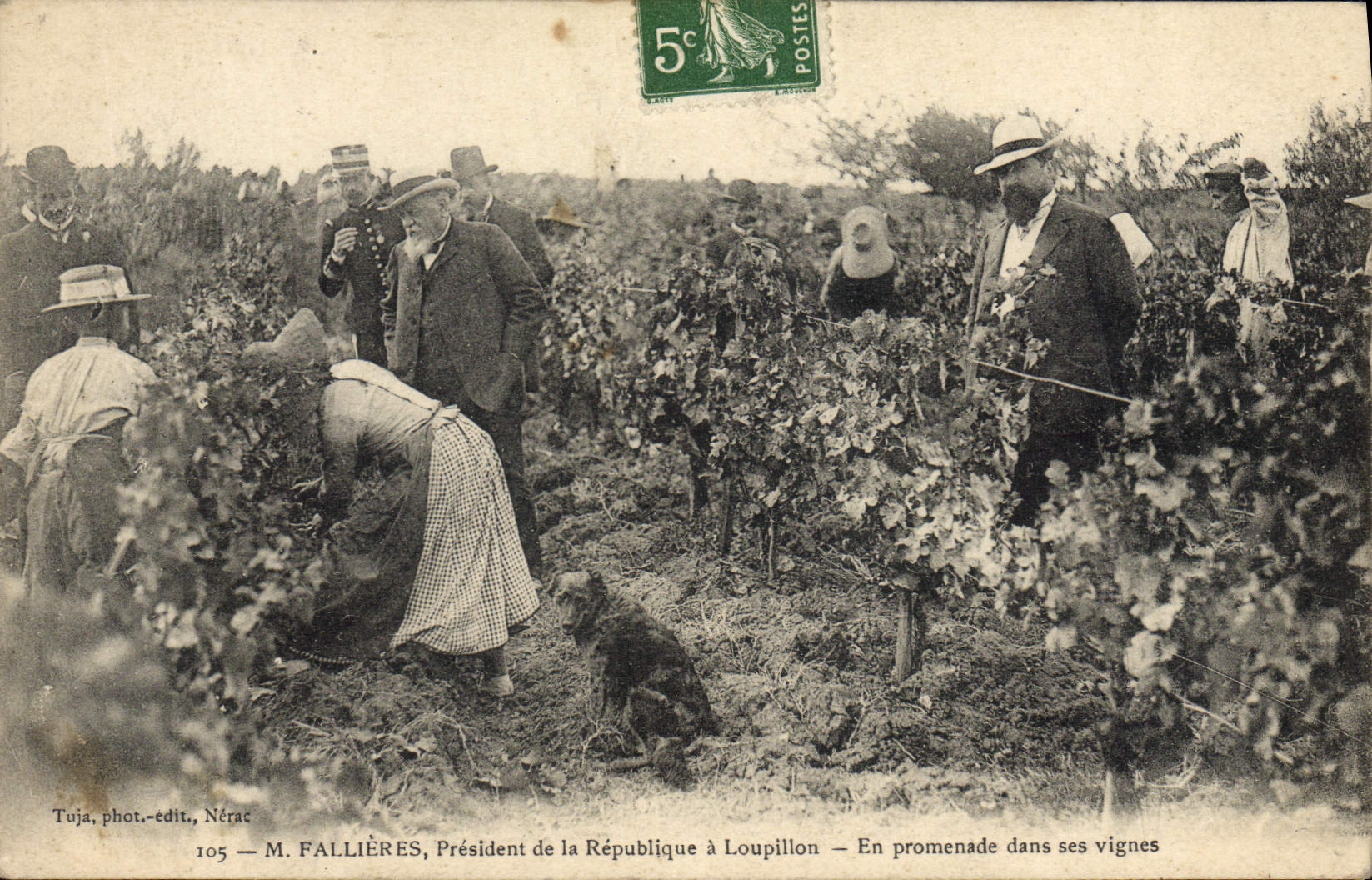 Herr Fallières, Präsident der Republik in Loupillon — Spaziergang durch seine Weinberge — Toja, Foto-Verlag, Nérac
