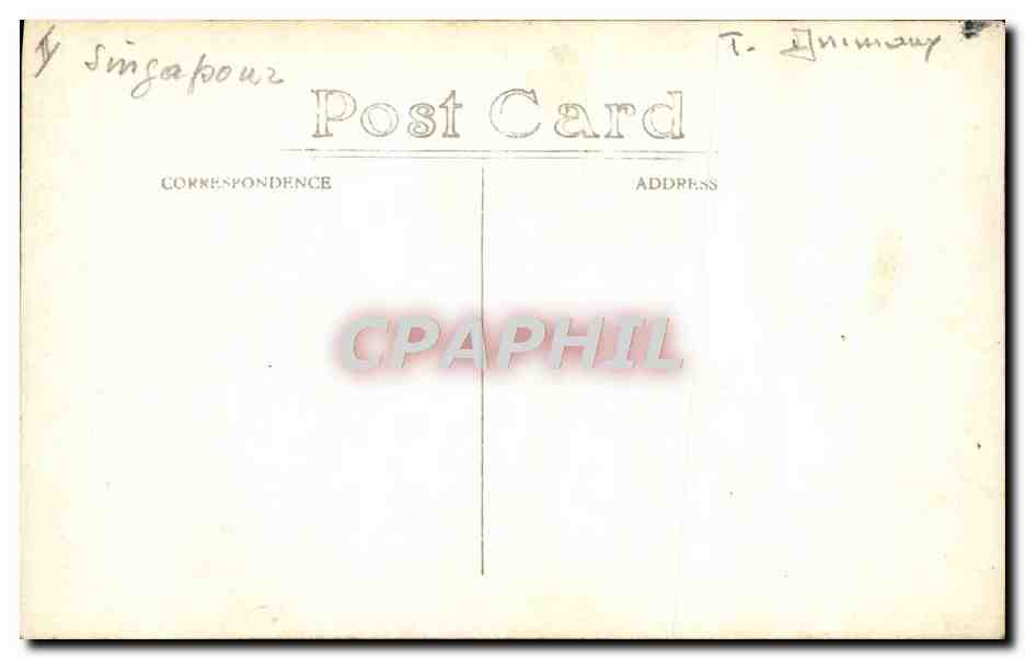 CARTE PHOTO Felin Tigre Singapour singapore — Rückseite