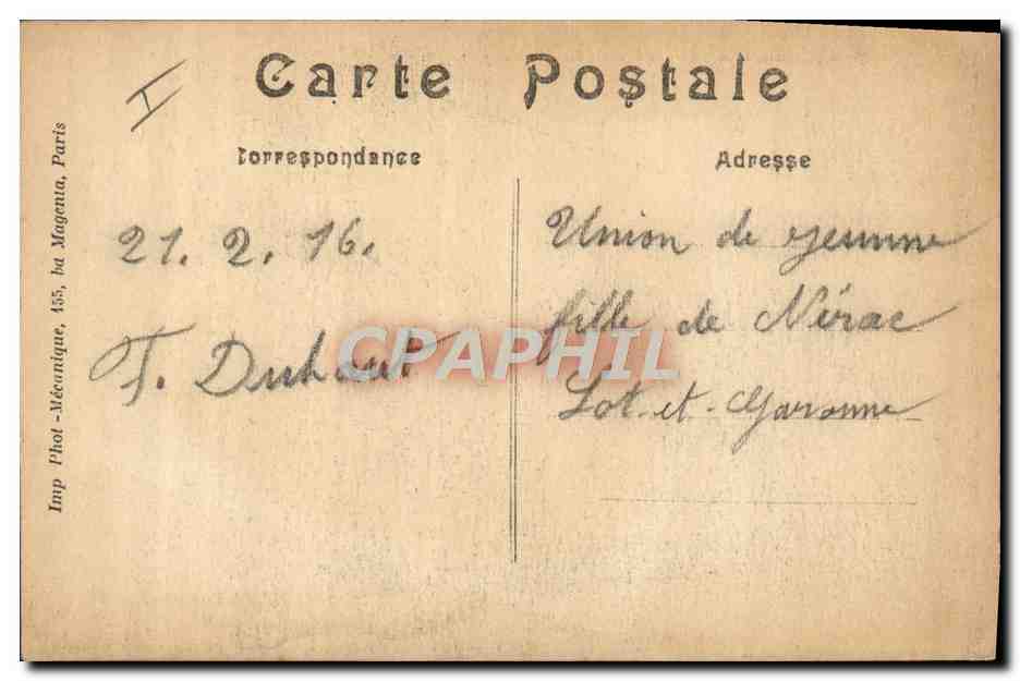 CPA Felin Paris Jardin des plantes Lion d'Afrique — Rückseite