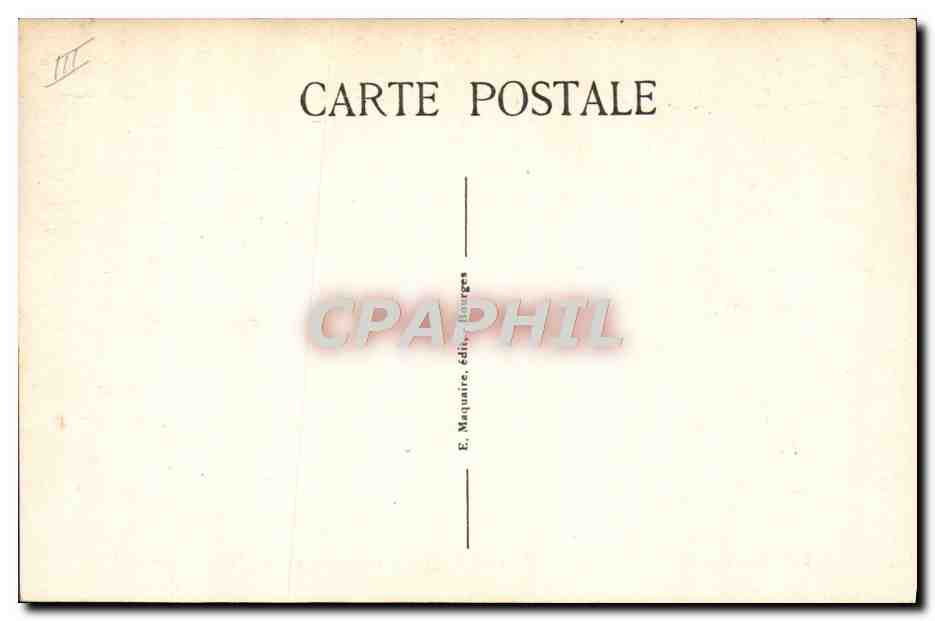 Bourges — Muséum d'Histoire Naturelle — Lions : Athos, Porthos et Aramis. — Verso