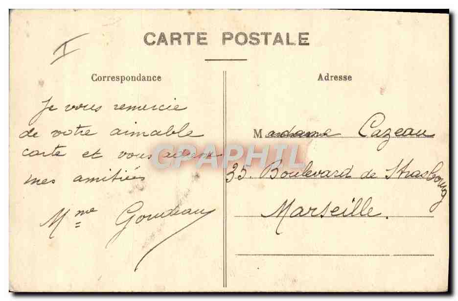 CPA Felin Lion du desert Algerie  — Rückseite