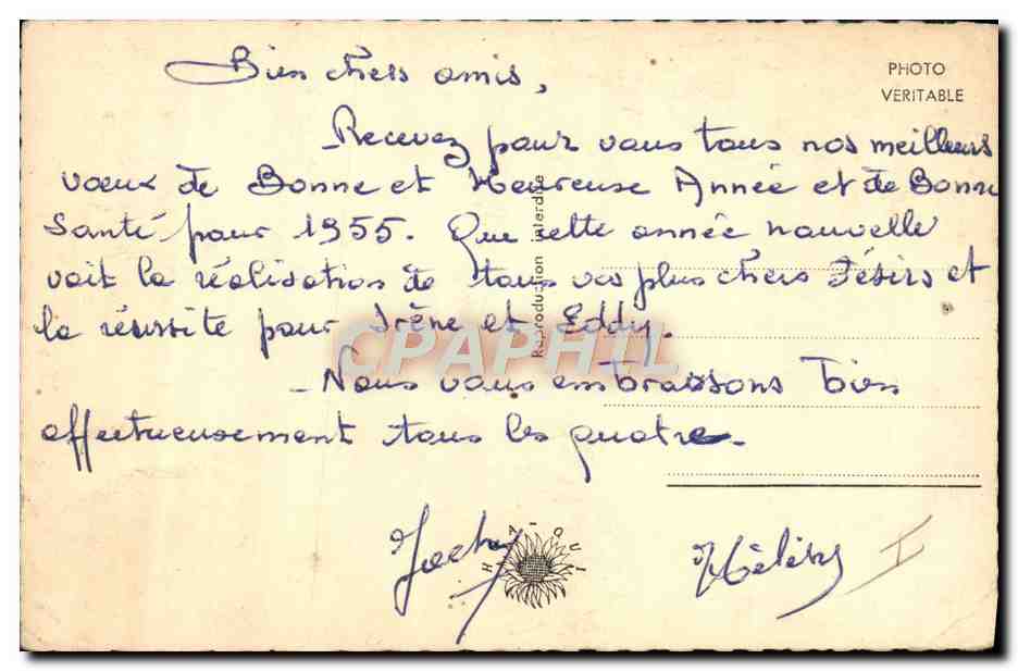 CPA Felin Lion Lionceau — Rückseite