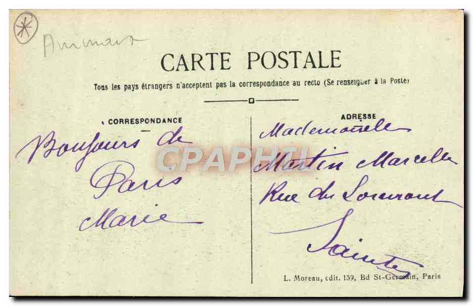 CPA Felin Paris Jardin des plantes Lion d'Afrique — Rückseite