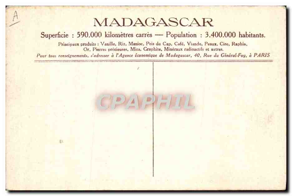 Madagascar — Recolte des Plumes d'Ostriches à Tulear — Verso