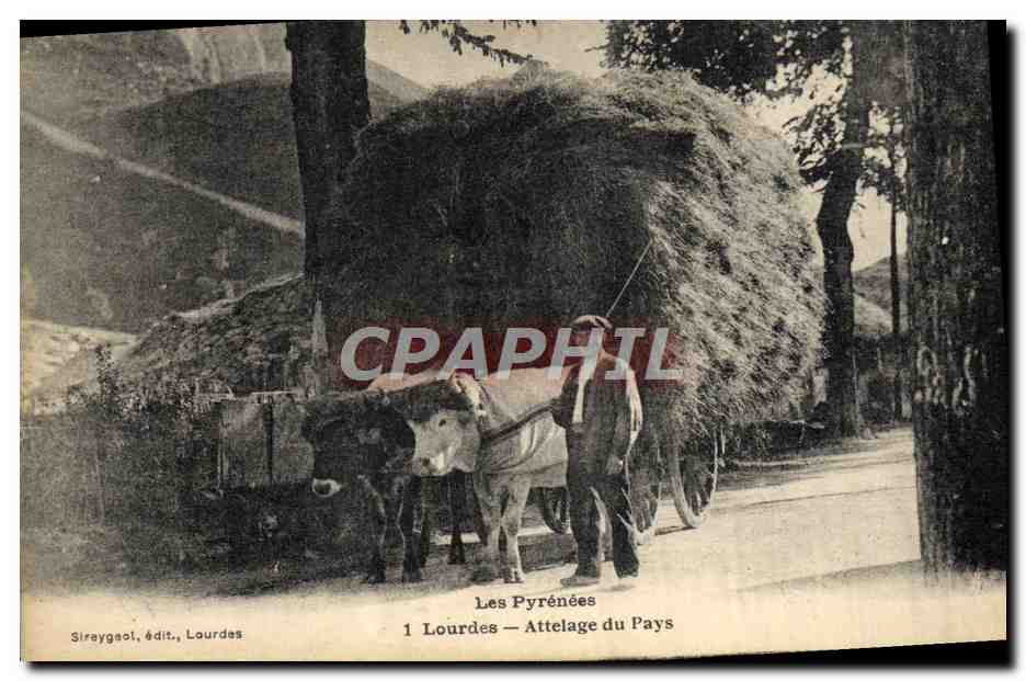 CPA Folklore Attelage Lourdes Pyrenees Boeufs
