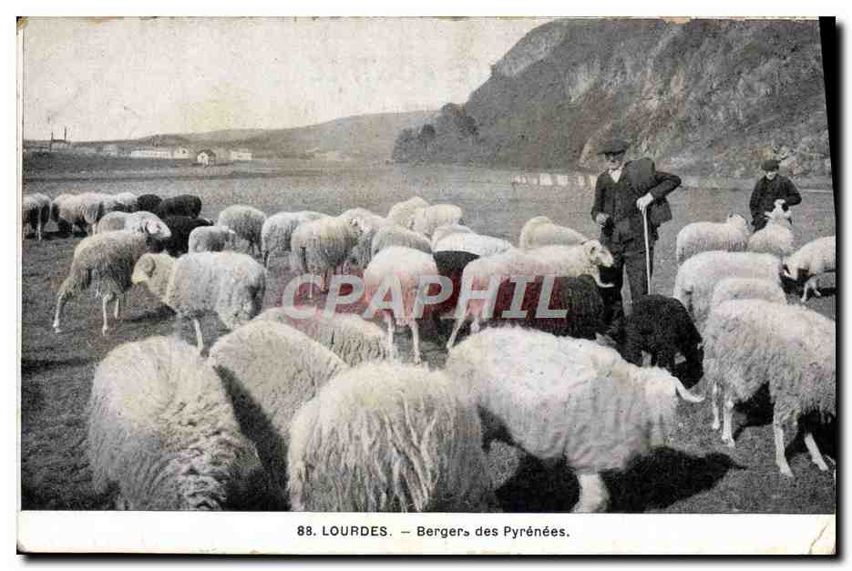 CPA Folklore Lourdes Berger des Pyrenees
