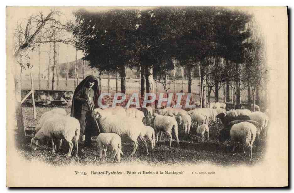 CPA Folklore Attelage Hautes Pyrenees Patre et brebis a la montagne Moutons 
