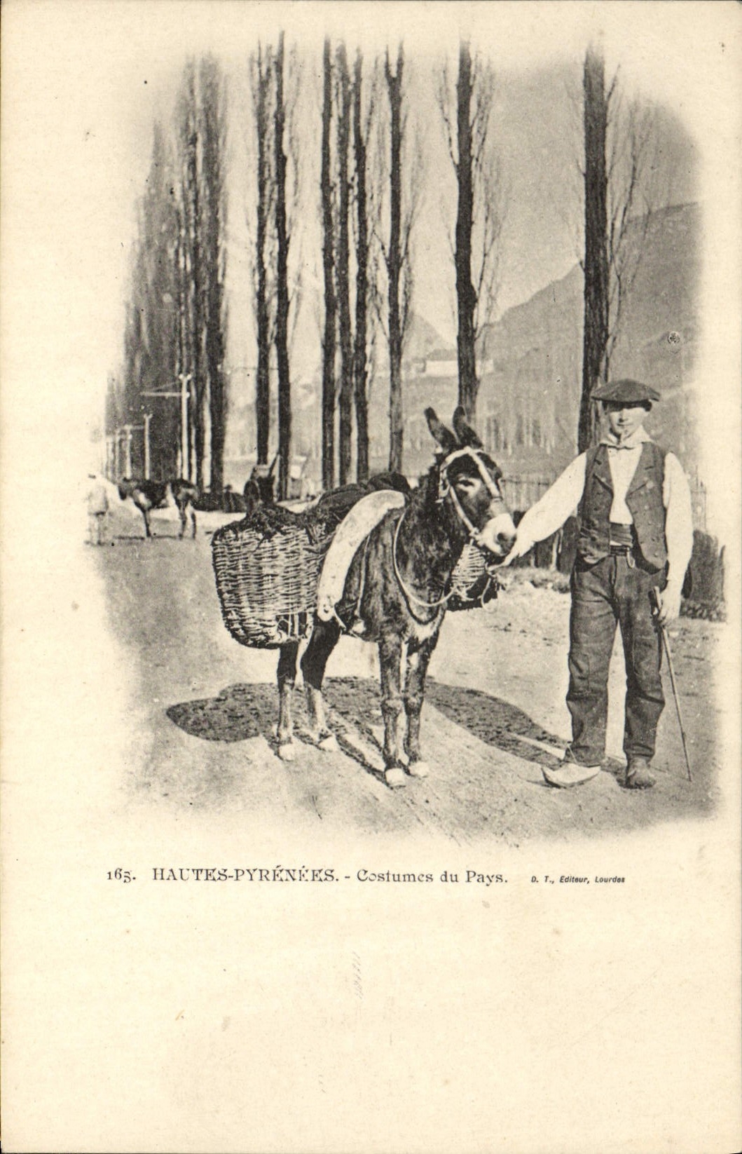 CPA Folklore Hautes Pyrenees Costumes du pays Ane Mule 