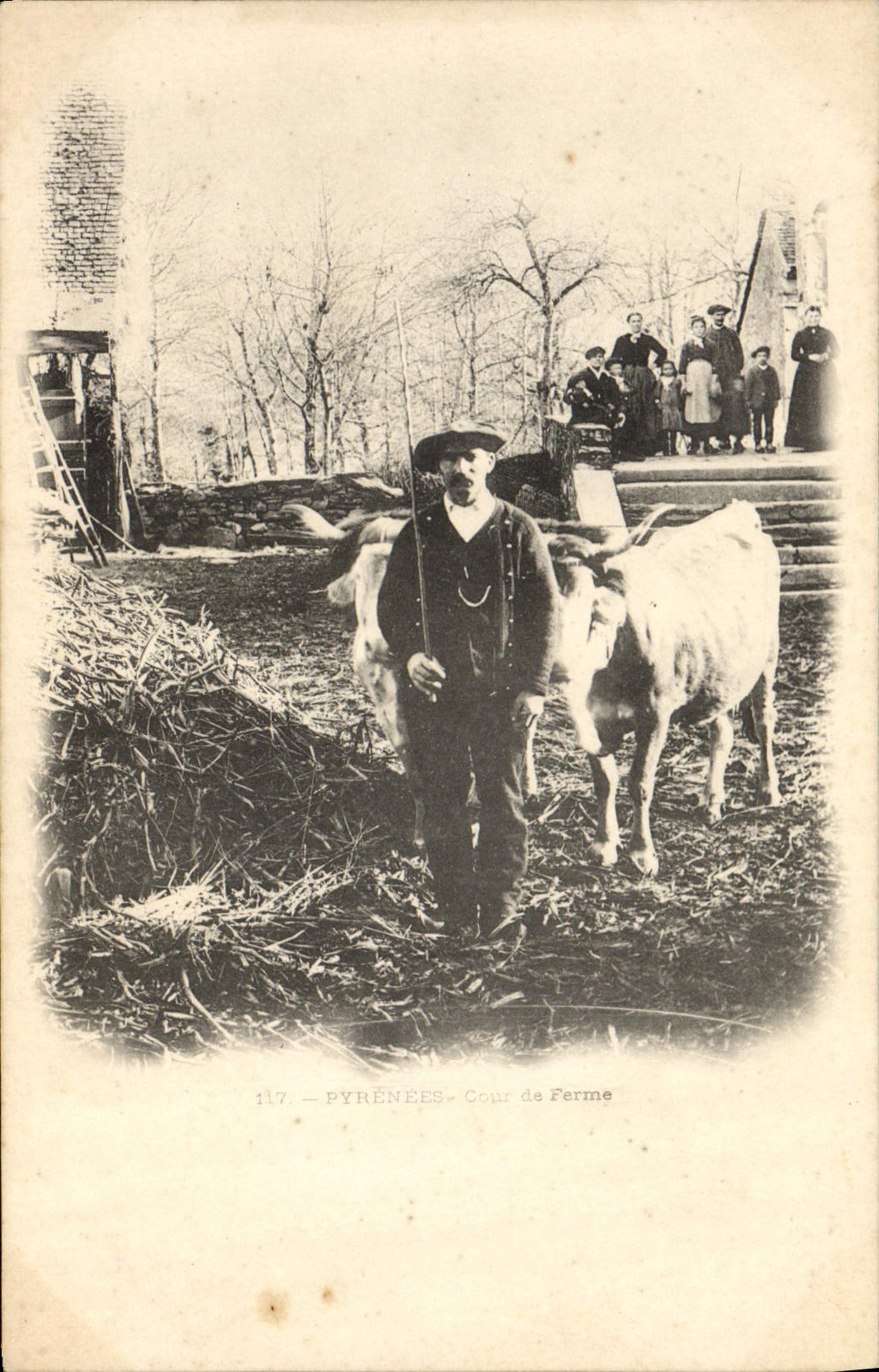 CPA Folklore Pyrenees Cour de ferme Boeufs 