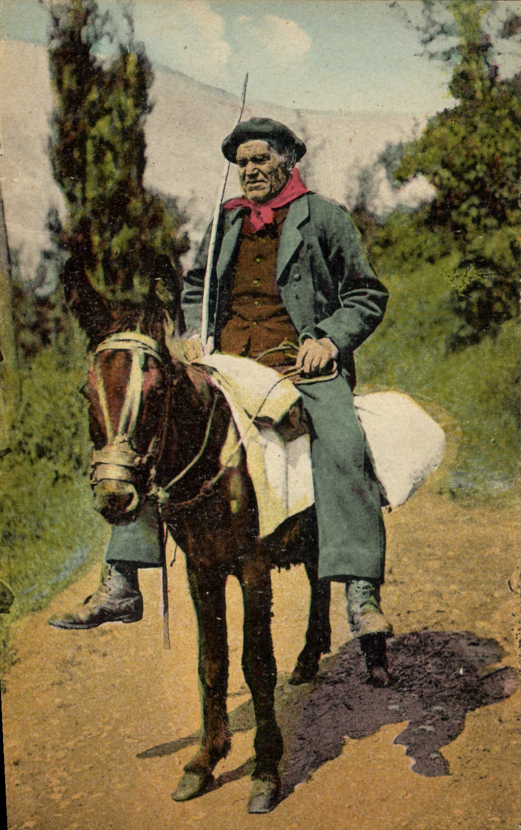 CPA Folklore Pyrenees Un vieux montagnard