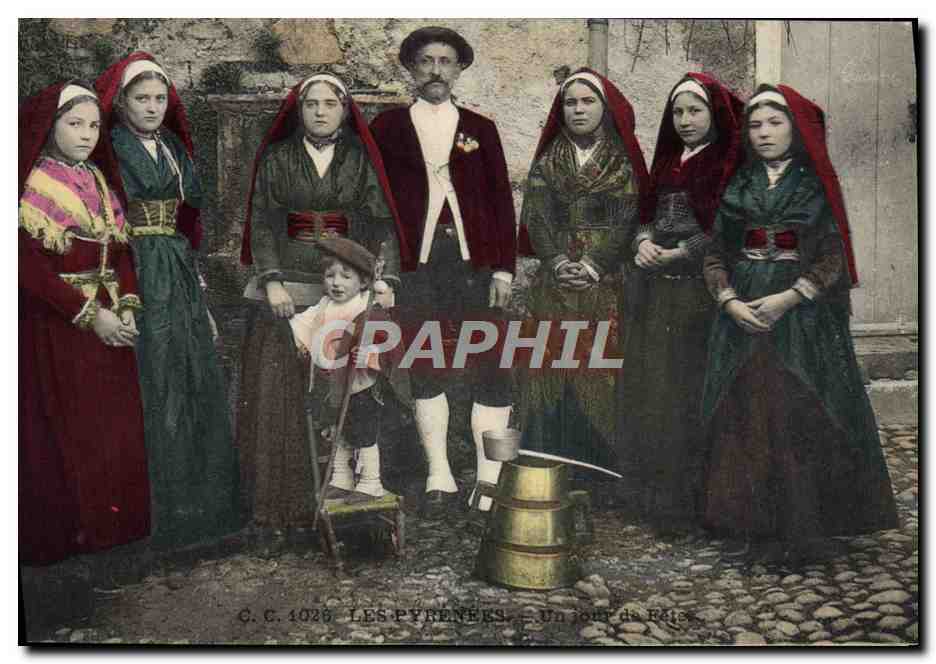 CPA Folklore Attelage Pyrenees Un jour de fete