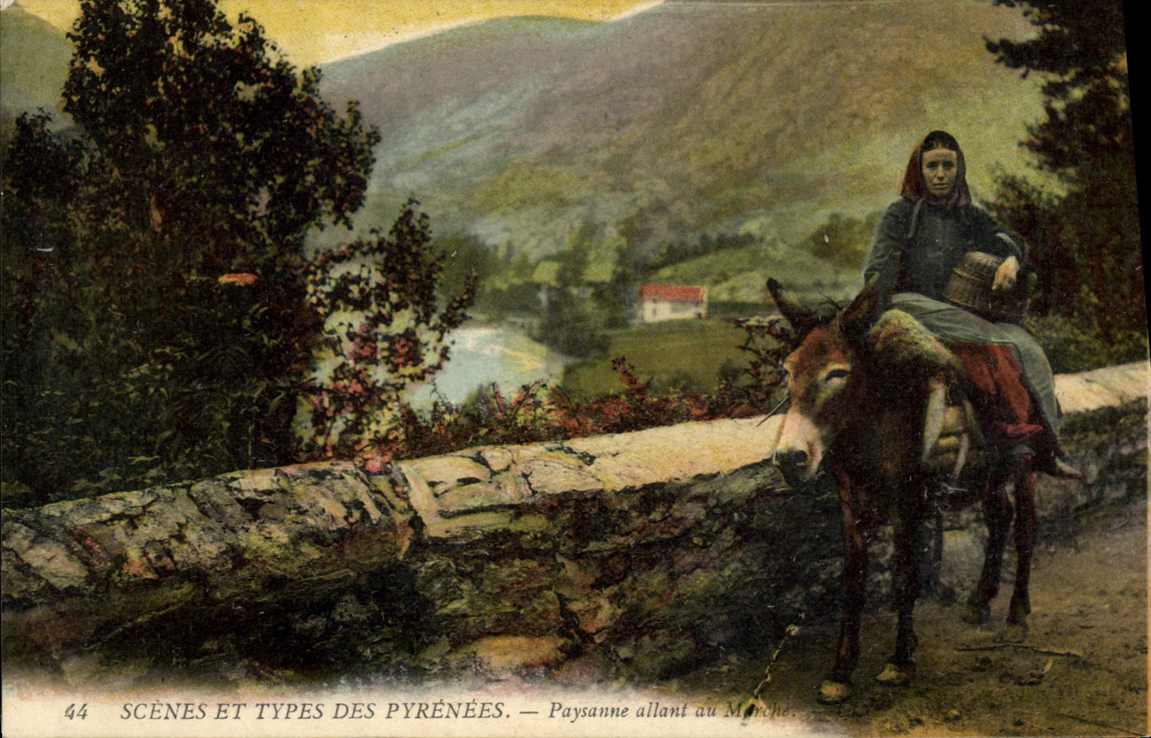 CPA Folklore Paysanne allant au marche Ane Mule