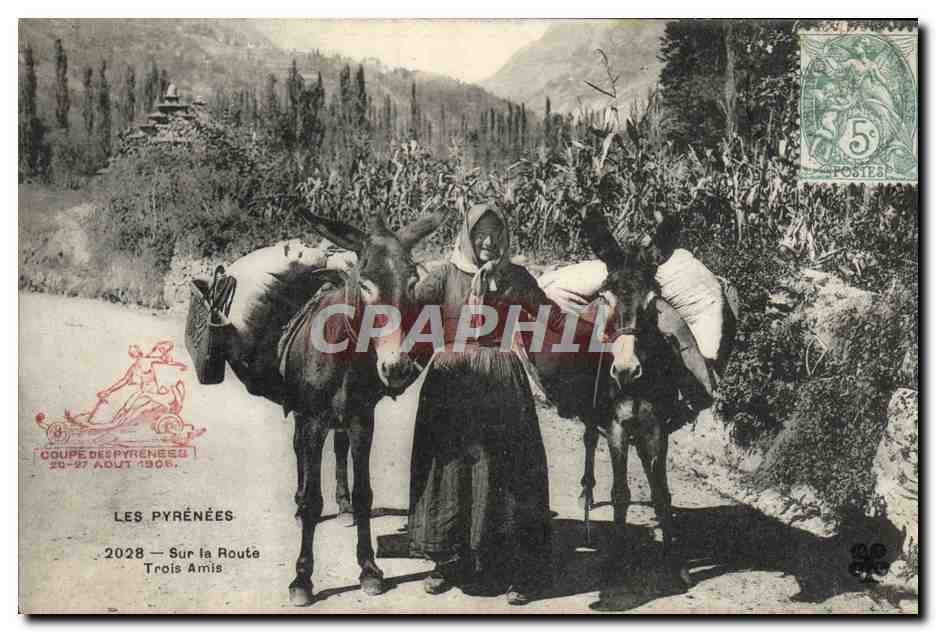 CPA Folklore Pyrenees Sur la route Trois amis Ane mule