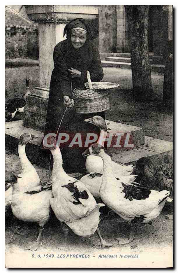 CPA Folklore Pyrenees Attendant le marche 