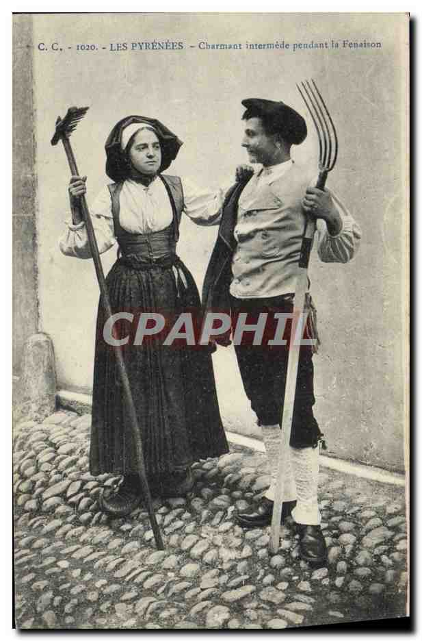 CPA Folklore Pyrenees Charmant intermede pendant la fenaison 