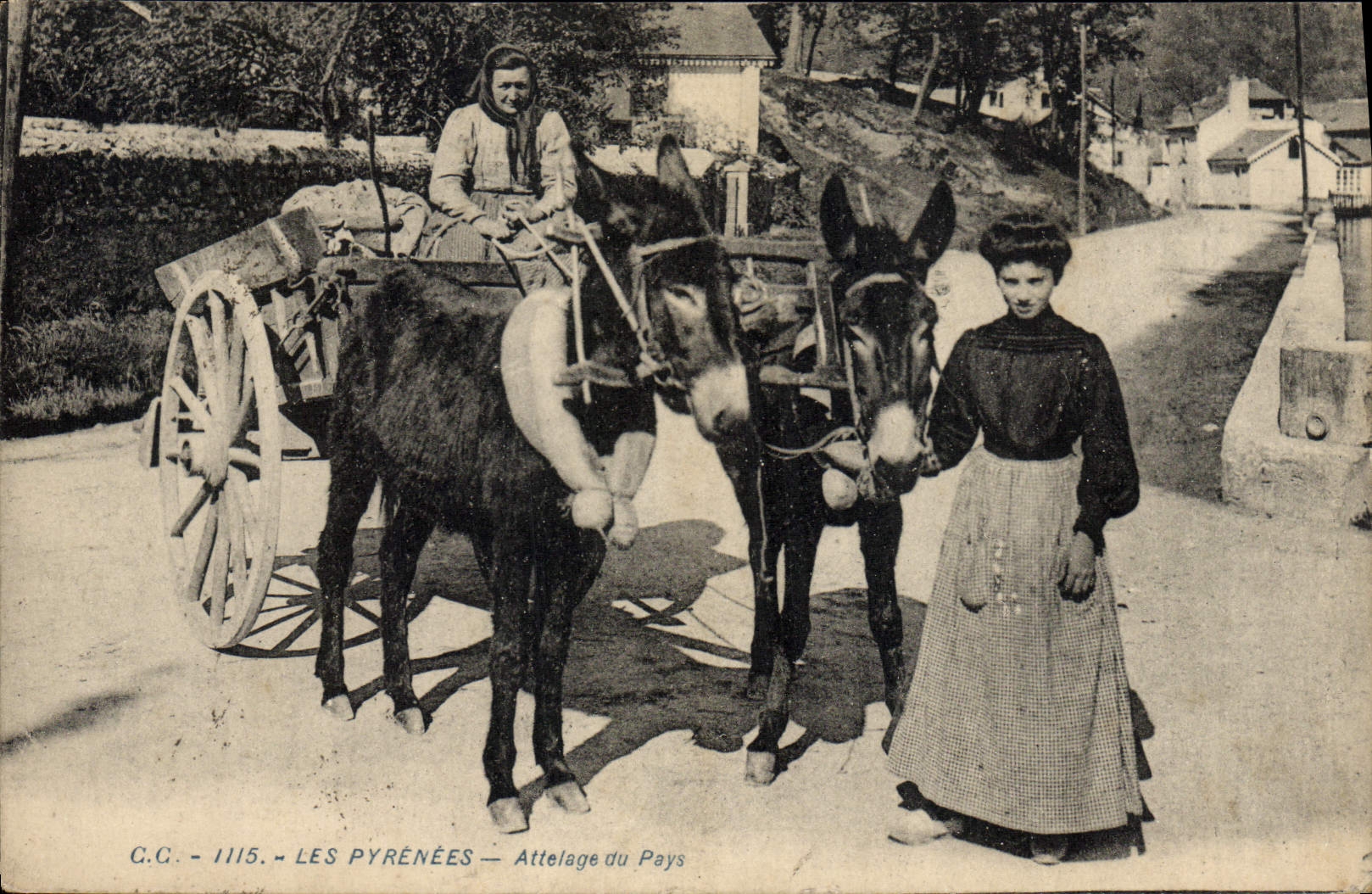 CPA Folklore Pyrenees Attelage du pays Ane Mule