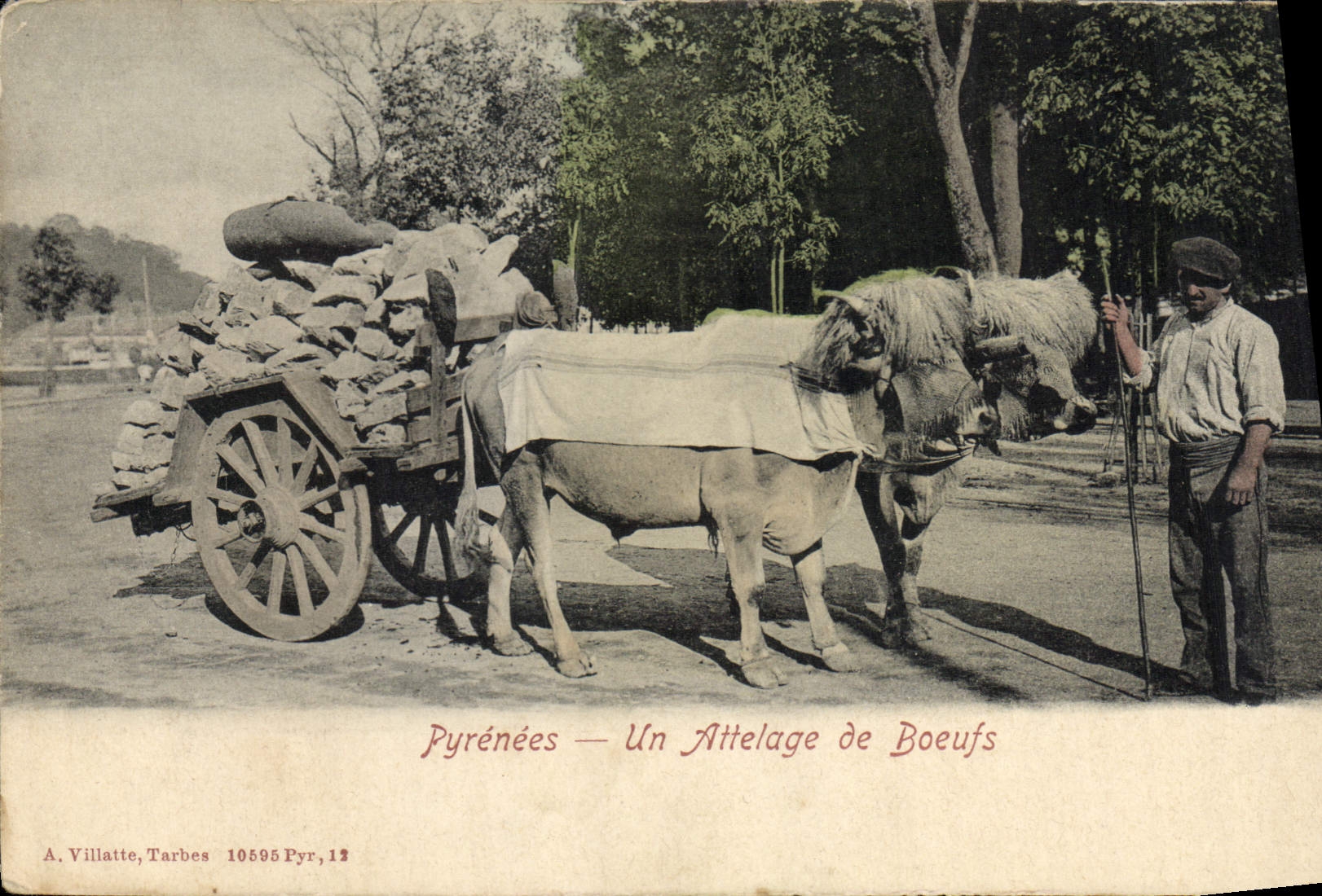 CPA Folklore Pyrenees Un Attelage de boeufs 